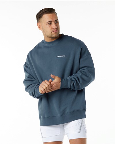 Alphalete Brushed Fleece Crewneck Swetry Niebieskie | 83762-PKIZ